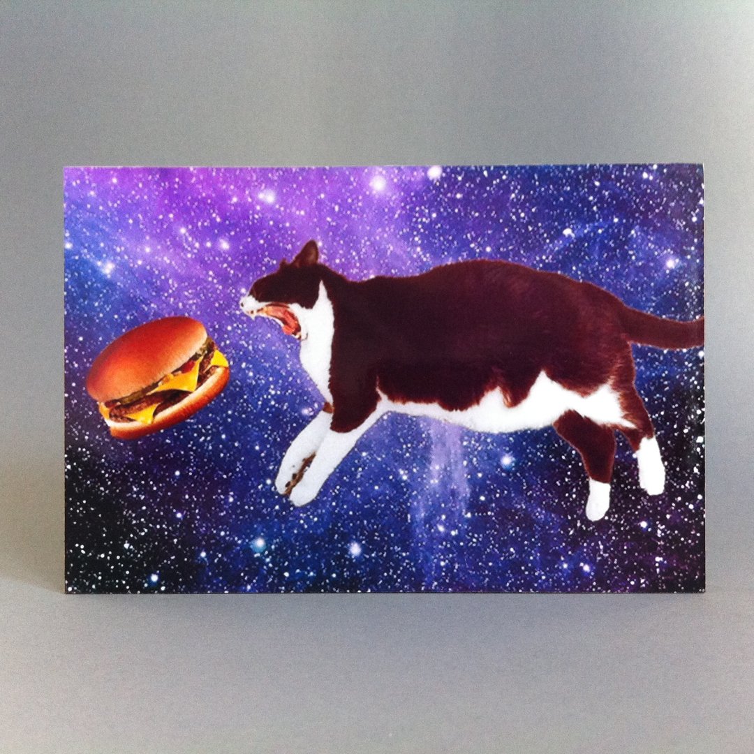 Bild - Burger Katze